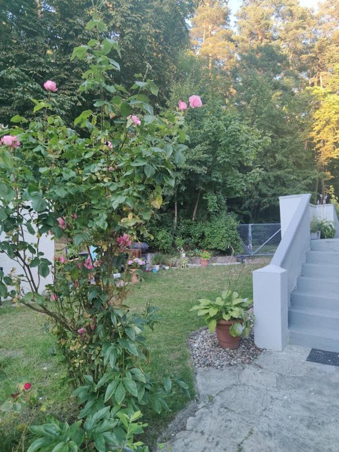 Apartament W Sasiedztwie Lasu 1800M Od Morza 소포트 외부 사진